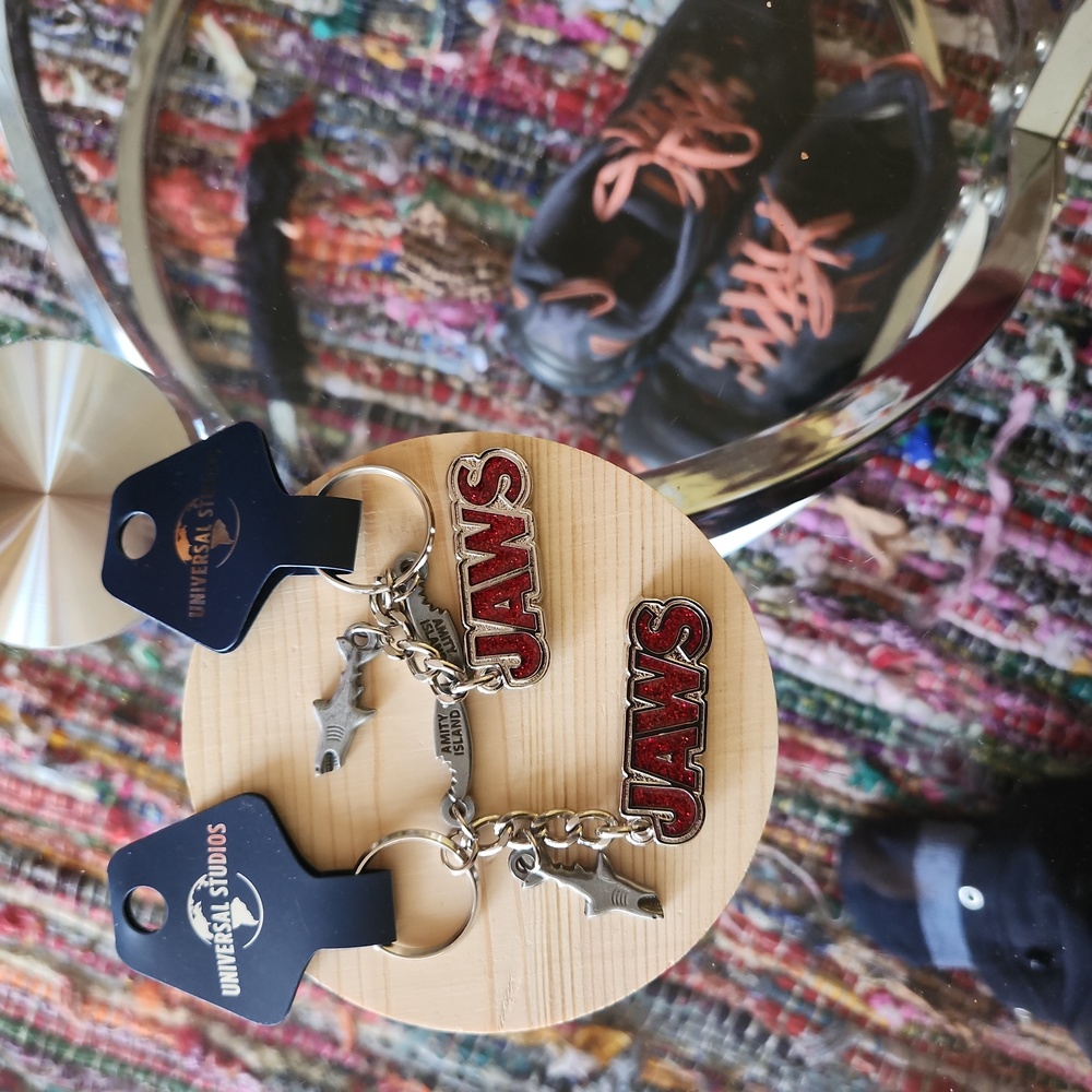 2 beautiful key chains new